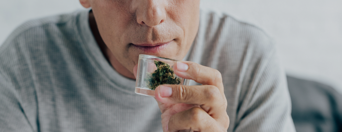 man in gray tshirt smelling cannabis