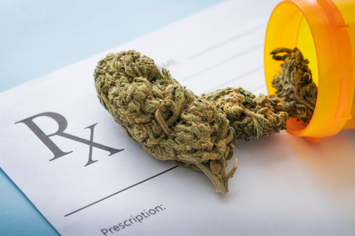 Medical cannabis buds and prescription