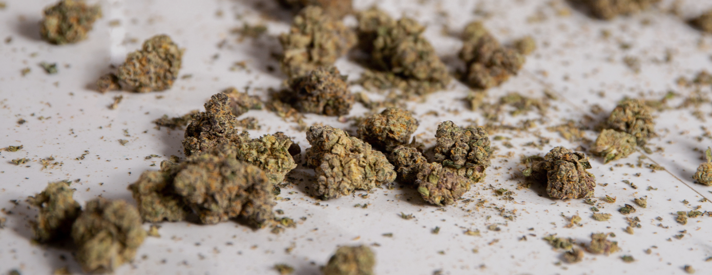 dry buds