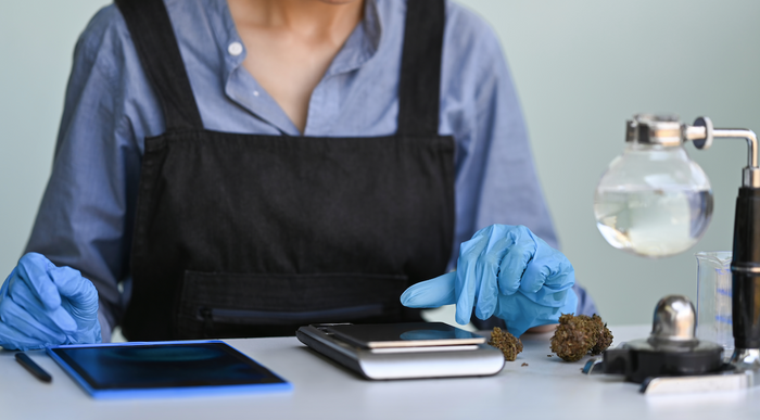 woman studying THC effects on the brain