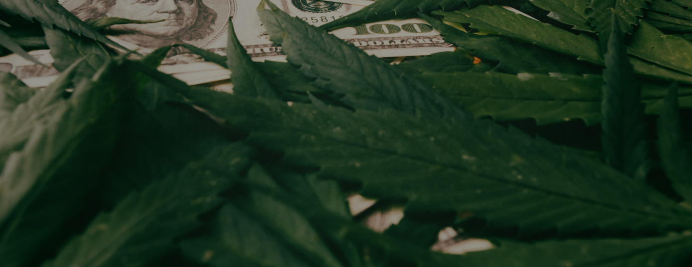 weed in America